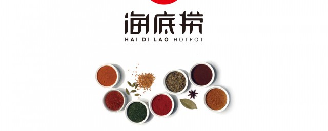 海底捞创始人(海底捞创始人张勇出生年月)