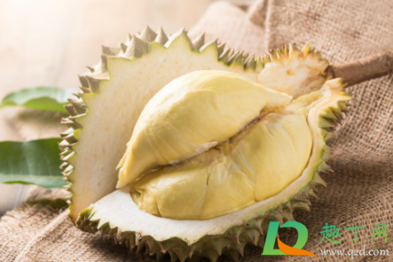 榴莲有酒味是不是坏了含酒精(榴莲有点酒味是不是坏了) 榴莲有酒味是不是坏了含酒精(榴莲有点酒味是不是坏了)