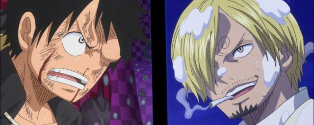 关于海贼王的简介信息(海贼王人物名字大全)