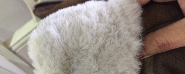 不能水洗的原因是什么(不能水洗 水洗了)