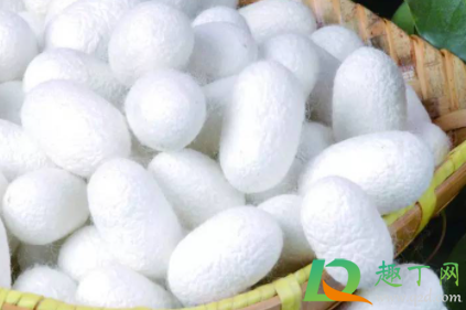 含蚕丝的棉裤可机洗吗(桑蚕丝裤子可以机洗吗)