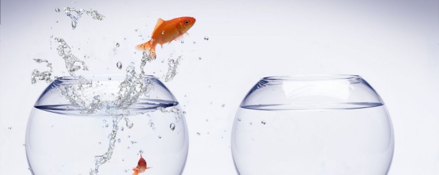 没想到它有这3大用处可惜很少人知道(你知道有什么好处吗)