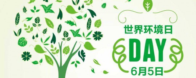 世界环境人的设立宗旨(世界环境是)