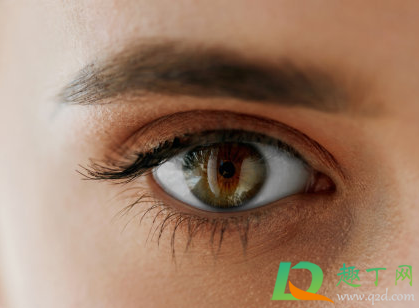 为什么眼皮会青(眼皮发青是什么原因造成的) 为什么眼皮会青(眼皮发青是什么原因造成的)