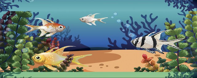 点进来告诉你答案(你来告诉我答案)