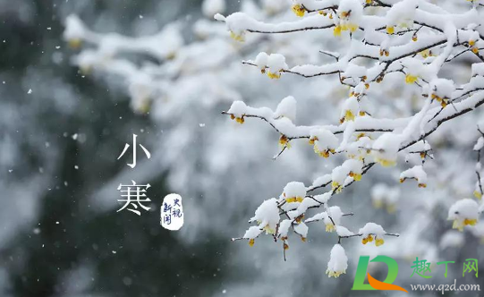 2021年小寒是几号星期几(2021年小寒是几月几号几点)