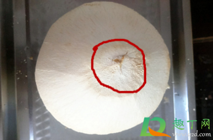 椰青怎样煲汤(椰青可以用来煲汤吗)