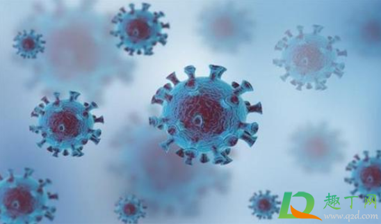 病毒变异元旦还能出行吗(病毒变异元旦还能出行吗?N)