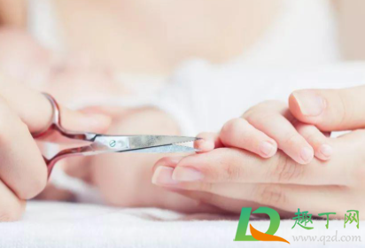 指甲剪短了肉疼怎么办(指甲剪短了肉疼怎么办知乎)