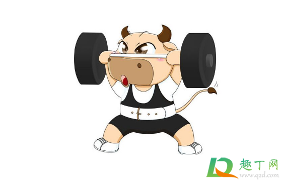 2021年是什么年什么命(2021年是什么年什么命,十一月)