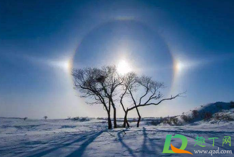 数九寒天的数九是从什么时候开始数的(数九寒天中数九是从什么时候开始) 数九寒天的数九是从什么时候开始数的(数九寒天中数九是从什么时候开始)