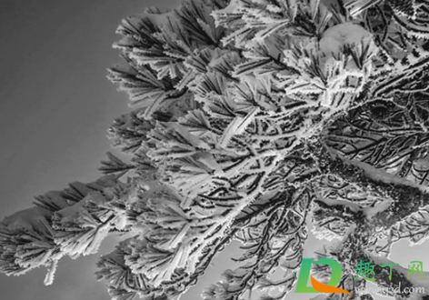 2021年元旦有寒潮吗(2021年有没有寒潮)