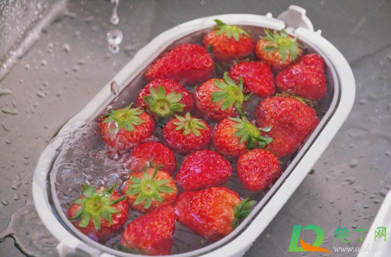 草莓泡盐水后能隔夜吗(草莓泡盐水后能放多久) 草莓泡盐水后能隔夜吗(草莓泡盐水后能放多久)