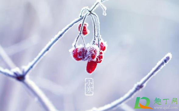 2021年小寒是几号星期几(2021年小寒是几月几号几点)