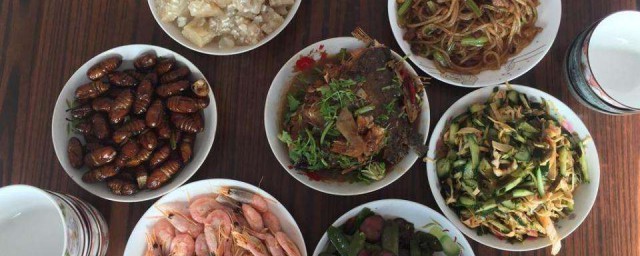 五种饮食习俗介绍(关于食的饮食风俗)