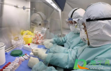 沈阳人去外地需要核酸检测报告吗(沈阳人在外地回沈阳用做核酸检测吗)