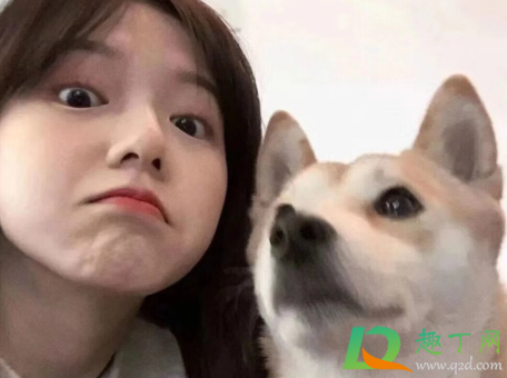 粉瘤可以用针挑破挤出来吗(粉瘤可以用粉刺针刺破吗) 粉瘤可以用针挑破挤出来吗(粉瘤可以用粉刺针刺破吗)