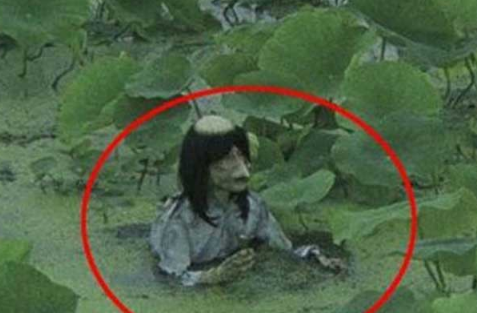 真正水猴子图片2021真实(猴子图片2021新图片)