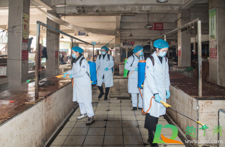 沈阳现在能不能出城到外省(现在从外地回沈阳让进来吗) 沈阳现在能不能出城到外省(现在从外地回沈阳让进来吗)