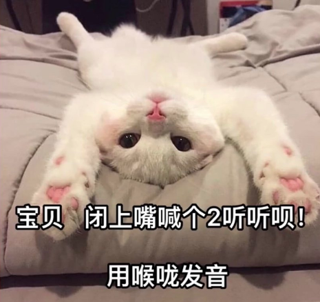 闭上嘴用喉咙说2什么梗(闭嘴说个2什么梗)