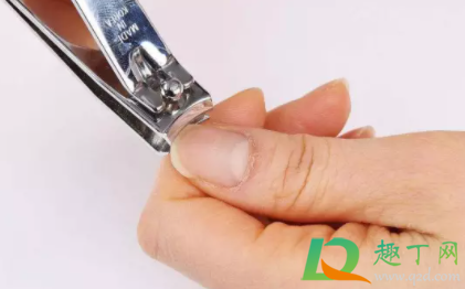 指甲刀不快了怎么磨(指甲刀不快怎么办)