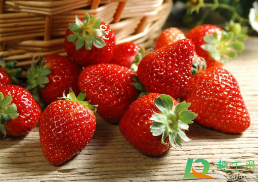 草莓用热水洗会变酸吗(热水洗草莓会怎么样) 草莓用热水洗会变酸吗(热水洗草莓会怎么样)