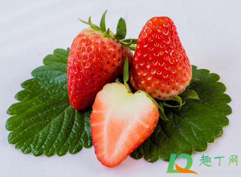 草莓破皮了还能吃吗(草莓破皮了怎么办)