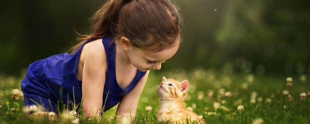 教育小孩子的方法(小孩子的教育方式和方法)