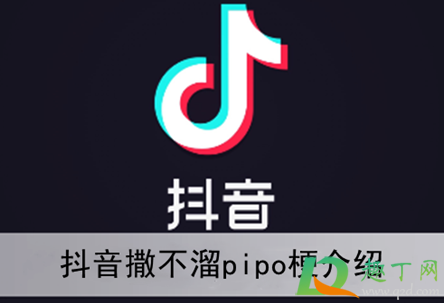 撒不溜pipo什么梗(撒不溜pipo啥意思什么梗)