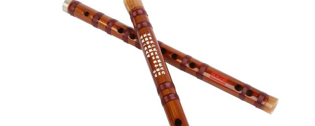 零基础能不能自学笛子(笛子自学好学吗)