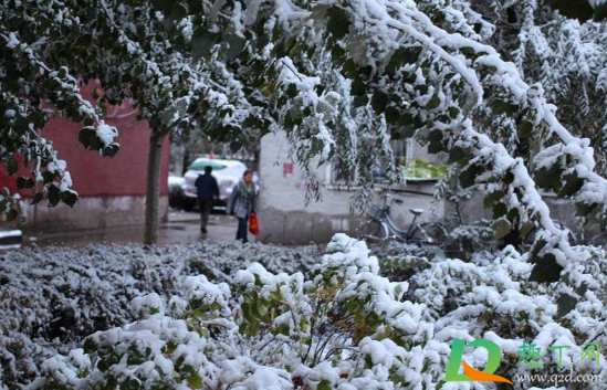 2021年元旦会大降温吗(2021国庆会降温吗)