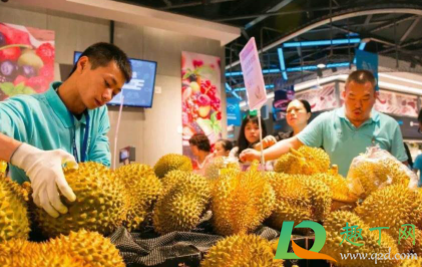 榴莲一次吃几瓣(一次吃一瓣榴莲多吗) 榴莲一次吃几瓣(一次吃一瓣榴莲多吗)