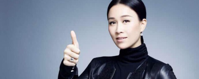 那英获得称号(那英拿过什么奖)