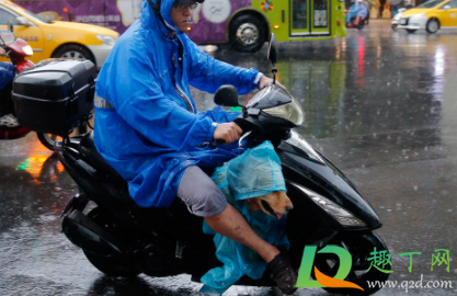 雨衣洗后不防水了怎么办(雨衣洗过一次后防水效果差) 雨衣洗后不防水了怎么办(雨衣洗过一次后防水效果差)