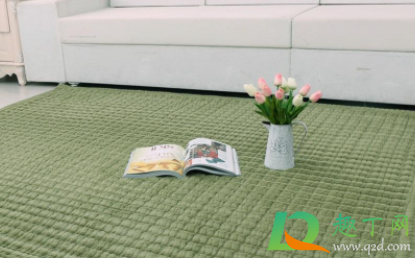 房间地毯发霉有味咋办(地毯发霉怎么办)