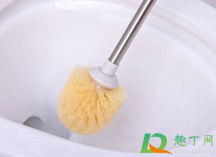 坐便器飞小虫子怎么处理(蹲便器里有小飞虫怎么办)