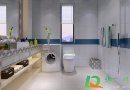 坐便器飞小虫子怎么处理(蹲便器里有小飞虫怎么办)