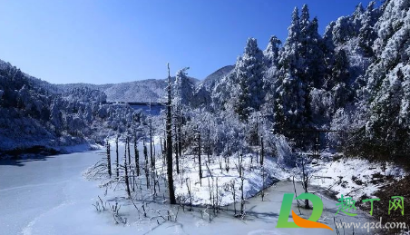 2021咸宁九宫山滑雪场什么时候开(咸宁九宫山滑雪场图片) 2021咸宁九宫山滑雪场什么时候开(咸宁九宫山滑雪场图片)