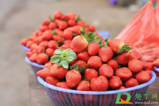草莓硬的好还是软的好(草莓比较硬是什么原因) 草莓硬的好还是软的好(草莓比较硬是什么原因)