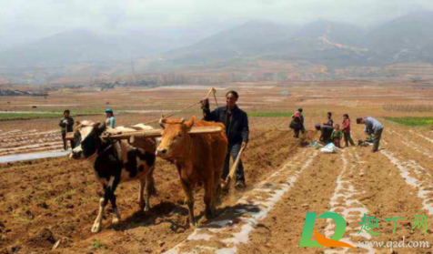 2020出九是几月几日(2020年几月出九)