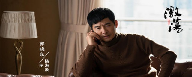 陆江涛林老师的电视剧介绍(电视剧 林涛)