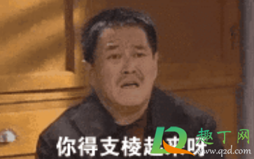 你得支棱起来啊什么梗出处哪(你得支棱起来啊什么意思)