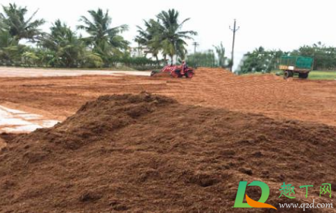 椰砖土养花需要配普通土吗(养花用椰砖土还是营养土) 椰砖土养花需要配普通土吗(养花用椰砖土还是营养土)