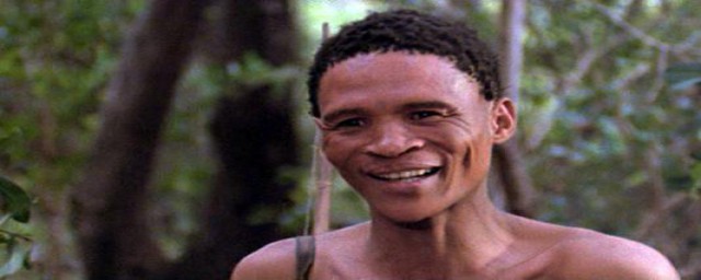 平头哥是非洲大地最勇敢的动物(世界上最无惧的动物人称平头哥)