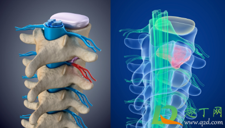 尾骨骨折一定要卧床吗(尾骨骨折一定要卧床休息吗?)