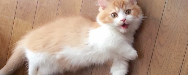 下面5个方法教你解决(用两种方法解决问题)