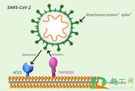 大量英国人赶在封城前离开伦敦真的吗(伦敦真的封城了吗)