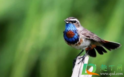 早安语录适合发朋友圈早安的句子最新(早安语录适合发朋友圈早安的一句话)