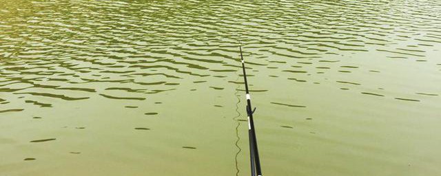 冬天鱼不咬钩的原因和解决办法(冬天鱼不吃钩怎么办)