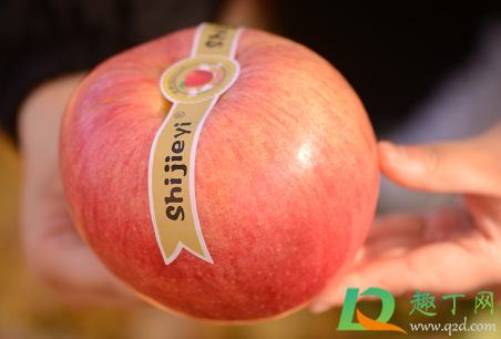 世界一号苹果产地在哪里(世界一号是什么苹果)